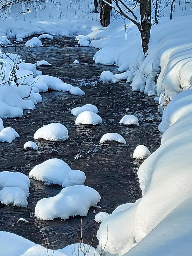 Domek Nad Potokiem Stronie Śląskie المظهر الخارجي الصورة
